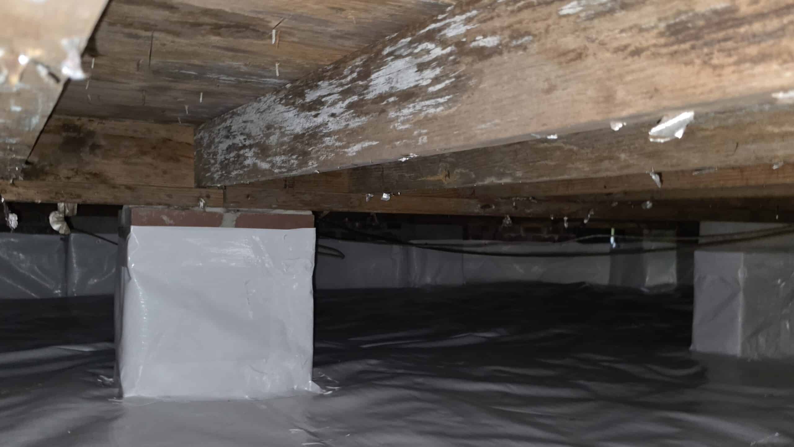 Benefits of Expert Crawl Space Encapsulation and Repair