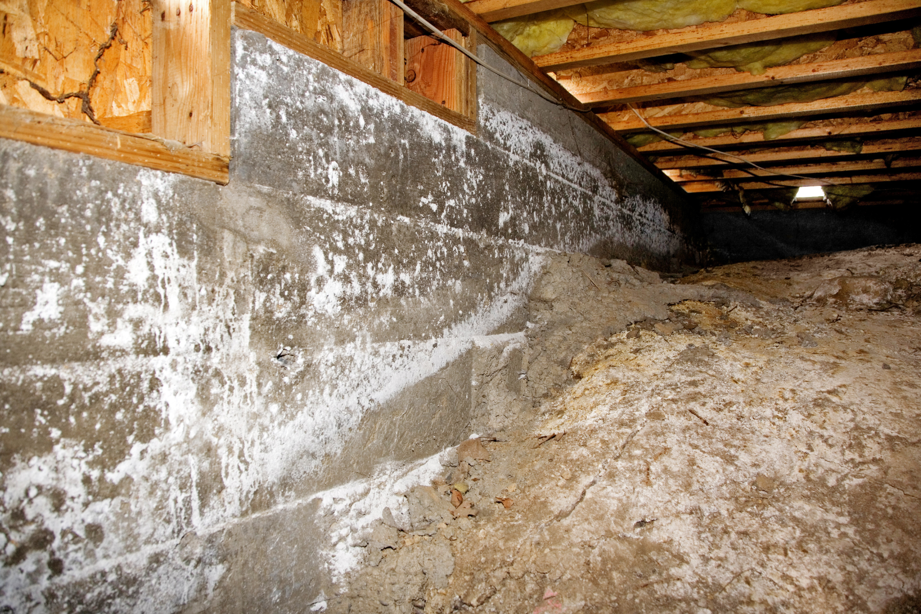 Crawl Space Repair and Encapsulation in Greenville, SC