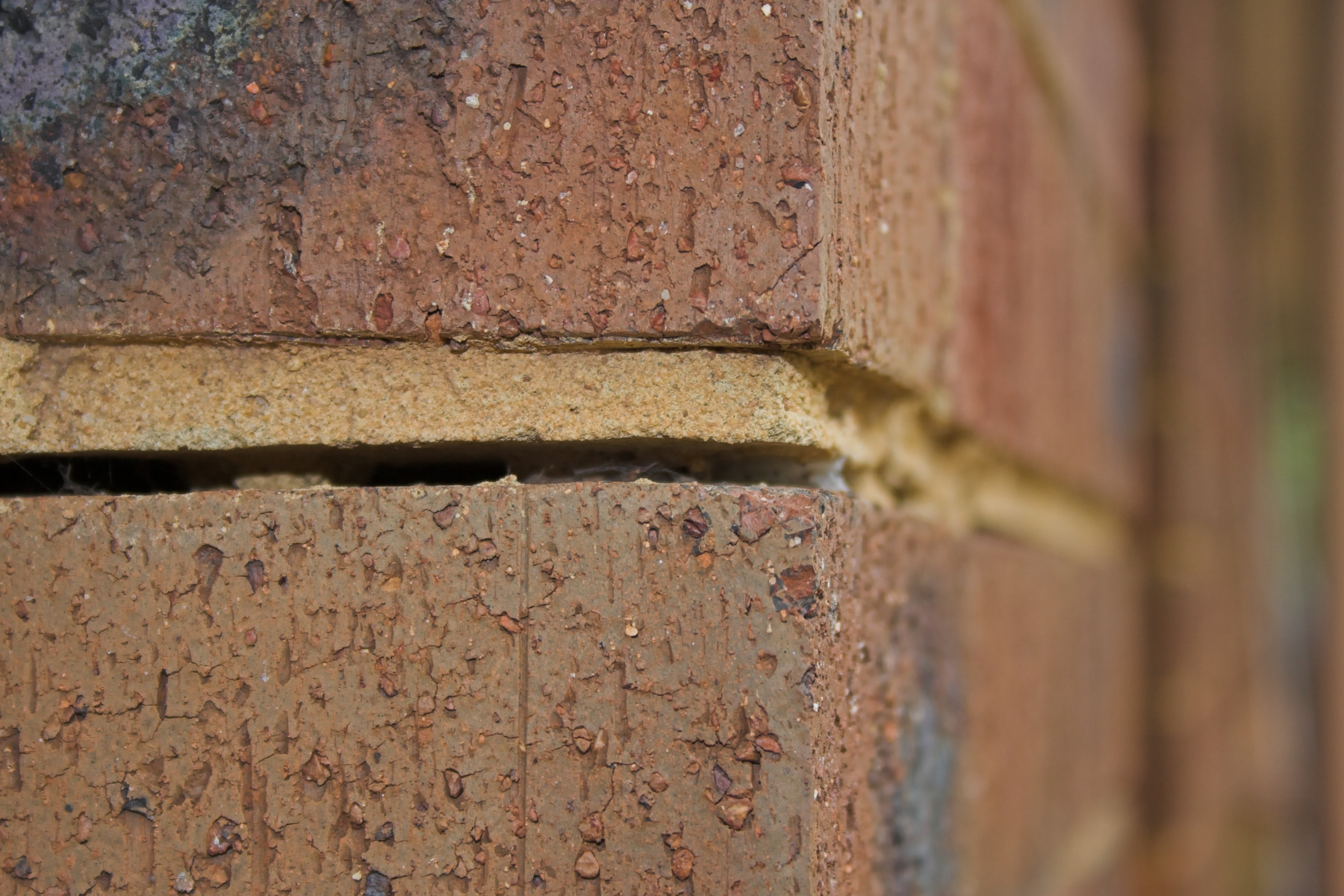Foundation Repair in Greenville, SC