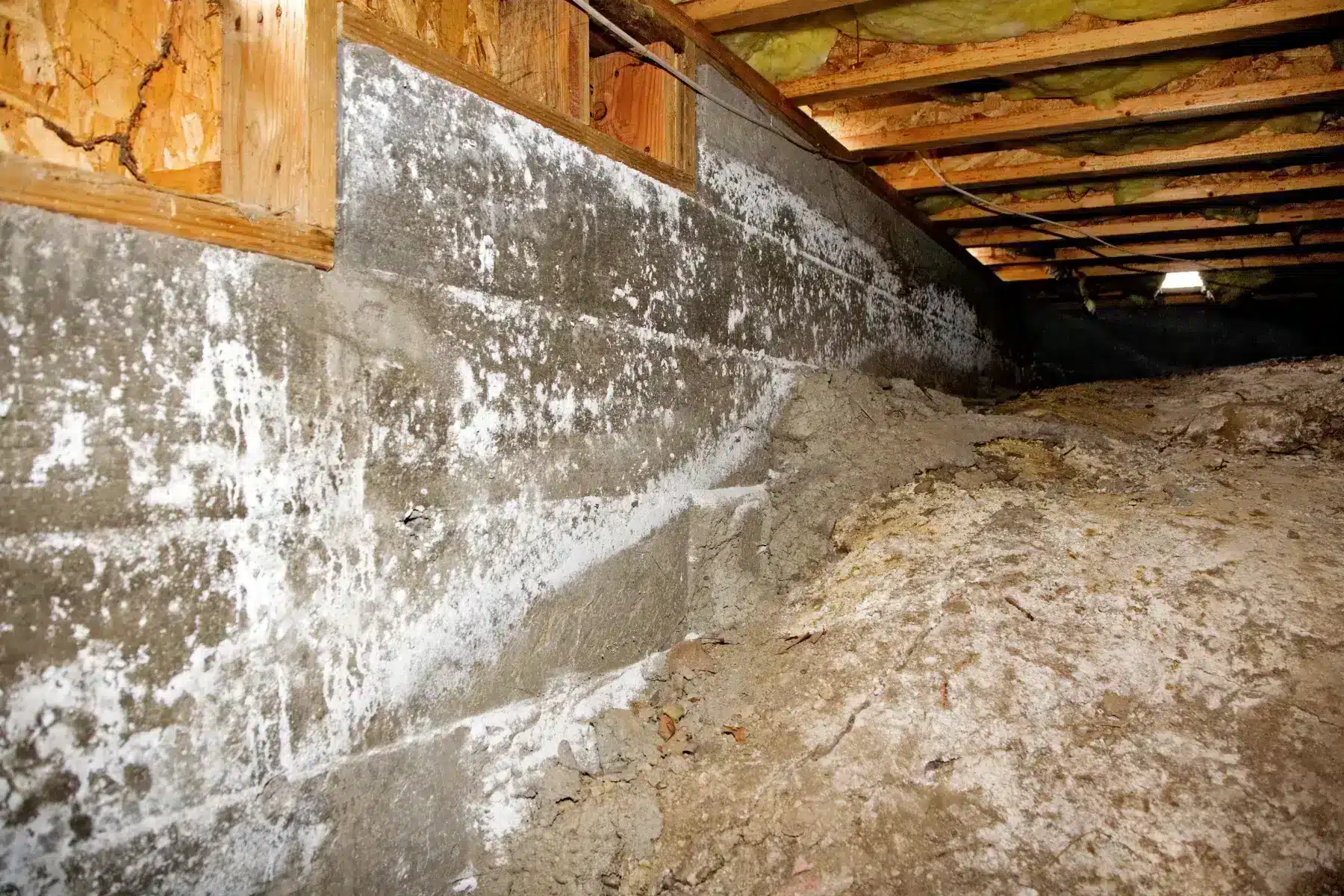 Crawl Space Repair, Waterproofing & Encapsulation in Asheville, NC