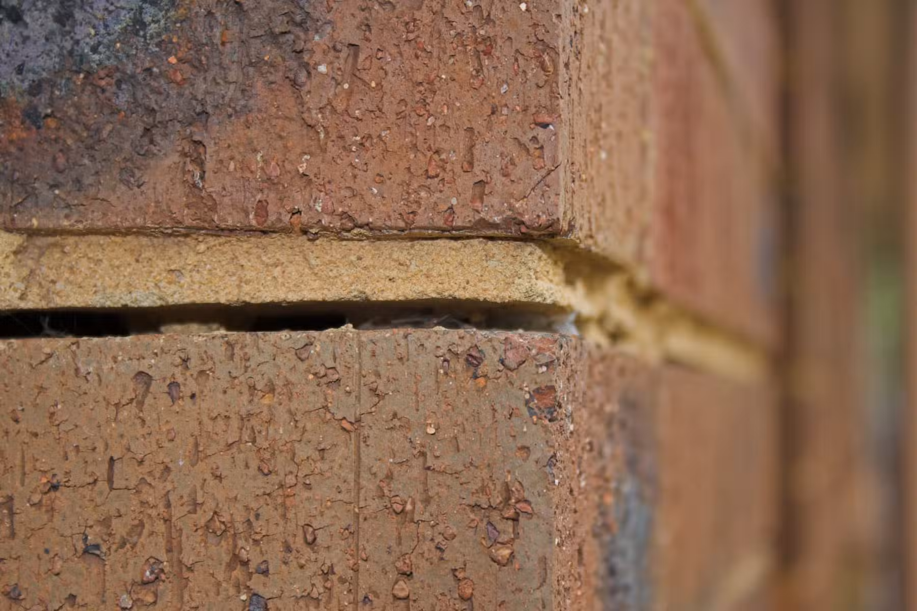 Foundation Repair and Basement Waterproofing in Spartanburg, SC