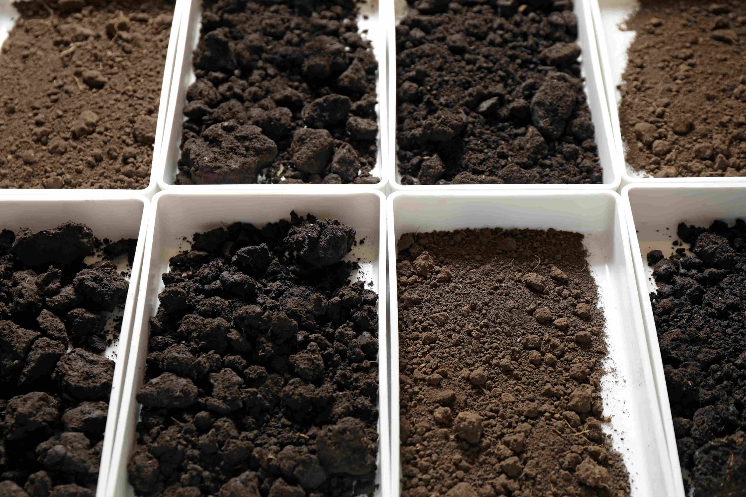 Soil Types in Charleston and How They Affect Your Foundation